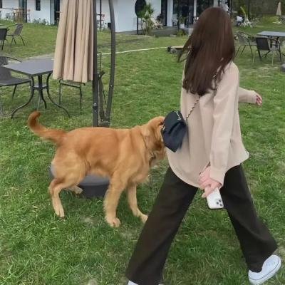 垄断者